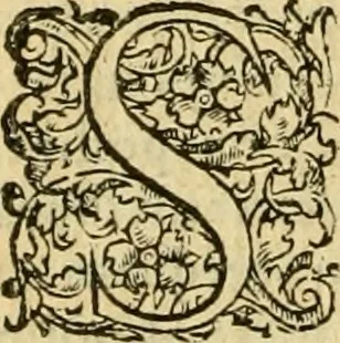 An illustration from Petri Bellonii Cenomani De aquatilibus, libri duo cum [epsilon, iota] conibus ad viuam ipsorum effigiem, quoad eius fieri potuit, expressis .., 1553, leaf 367