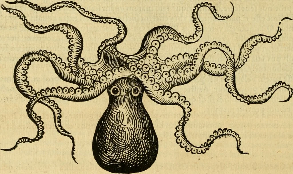 An illustration from Petri Bellonii Cenomani De aquatilibus, libri duo cum [epsilon, iota] conibus ad viuam ipsorum effigiem, quoad eius fieri potuit, expressis .., 1553, leaf 371