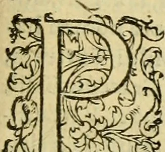 An illustration from Petri Bellonii Cenomani De aquatilibus, libri duo cum [epsilon, iota] conibus ad viuam ipsorum effigiem, quoad eius fieri potuit, expressis .., 1553, leaf 40