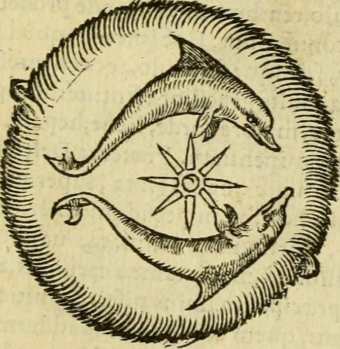 An illustration from Petri Bellonii Cenomani De aquatilibus, libri duo cum [epsilon, iota] conibus ad viuam ipsorum effigiem, quoad eius fieri potuit, expressis .., 1553, leaf 50