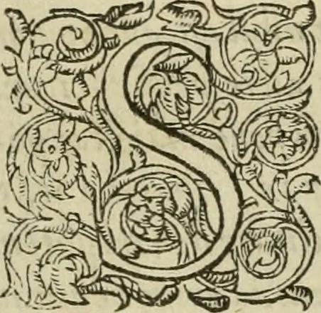 An illustration from Petri Costalii Pegma : cum narrationibus philosophicis, 1555, leaf 10