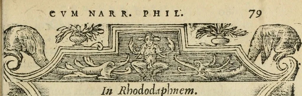 An illustration from Petri Costalii Pegma : cum narrationibus philosophicis, 1555, leaf 100