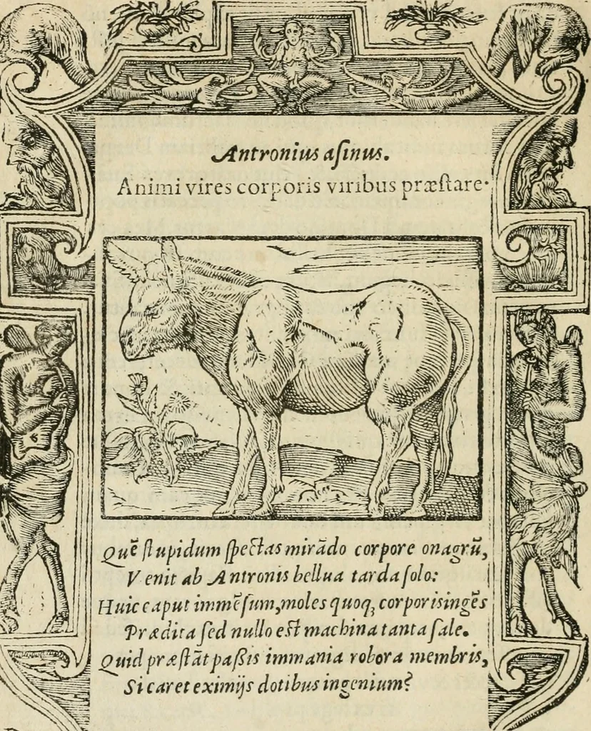 An illustration from Petri Costalii Pegma : cum narrationibus philosophicis, 1555, leaf 107