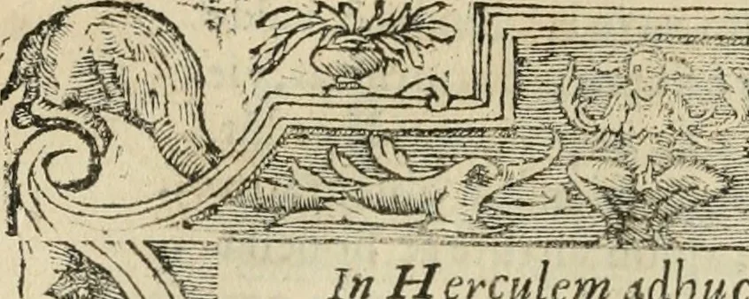 An illustration from Petri Costalii Pegma : cum narrationibus philosophicis, 1555, leaf 113