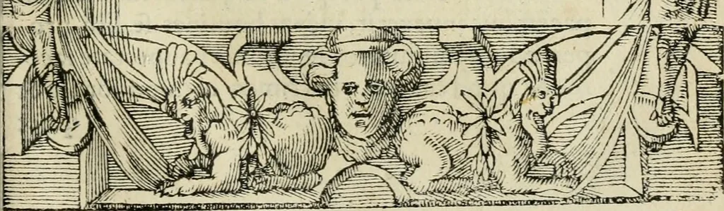 An illustration from Petri Costalii Pegma : cum narrationibus philosophicis, 1555, leaf 116