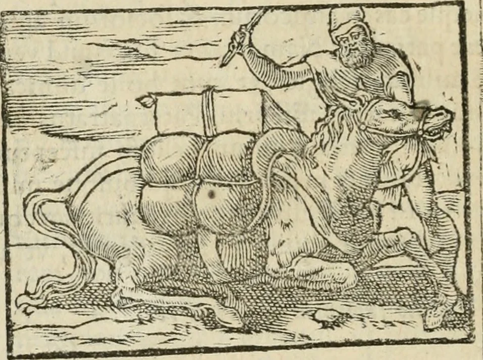 An illustration from Petri Costalii Pegma : cum narrationibus philosophicis, 1555, leaf 119