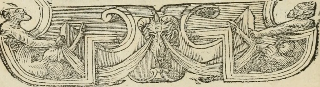 An illustration from Petri Costalii Pegma : cum narrationibus philosophicis, 1555, leaf 119