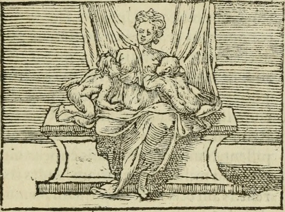 An illustration from Petri Costalii Pegma : cum narrationibus philosophicis, 1555, leaf 12