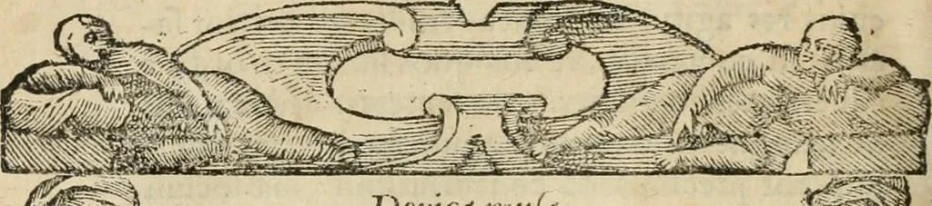 An illustration from Petri Costalii Pegma : cum narrationibus philosophicis, 1555, leaf 133