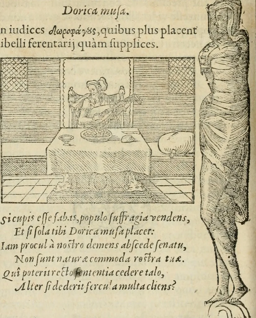 An illustration from Petri Costalii Pegma : cum narrationibus philosophicis, 1555, leaf 133
