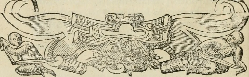 An illustration from Petri Costalii Pegma : cum narrationibus philosophicis, 1555, leaf 133