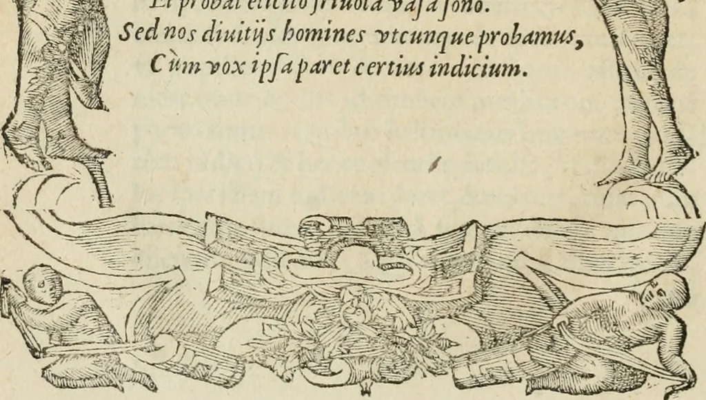 An illustration from Petri Costalii Pegma : cum narrationibus philosophicis, 1555, leaf 137