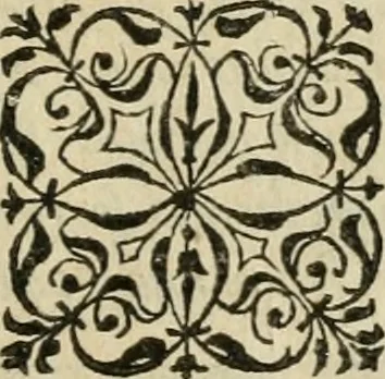 An illustration from Petri Costalii Pegma : cum narrationibus philosophicis, 1555, leaf 142