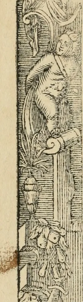 An illustration from Petri Costalii Pegma : cum narrationibus philosophicis, 1555, leaf 143