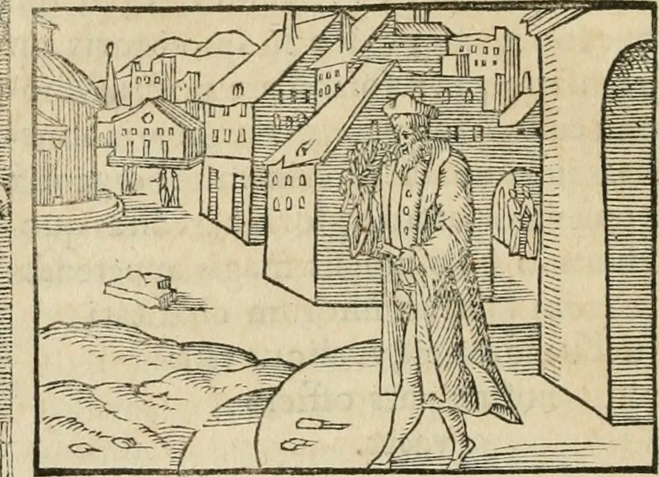 An illustration from Petri Costalii Pegma : cum narrationibus philosophicis, 1555, leaf 143