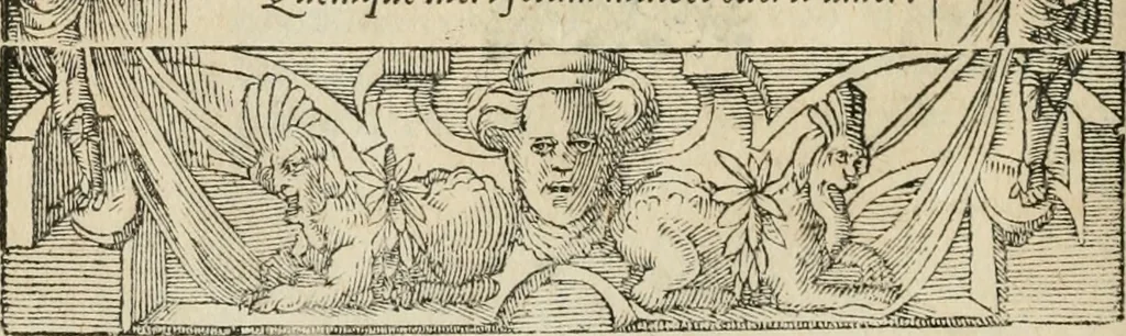 An illustration from Petri Costalii Pegma : cum narrationibus philosophicis, 1555, leaf 143