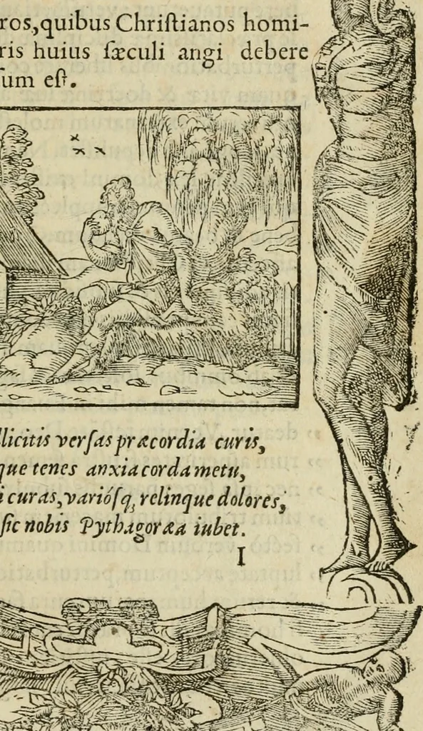 An illustration from Petri Costalii Pegma : cum narrationibus philosophicis, 1555, leaf 150