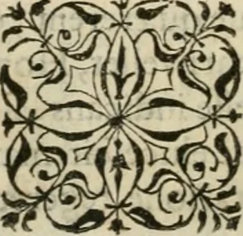 An illustration from Petri Costalii Pegma : cum narrationibus philosophicis, 1555, leaf 155