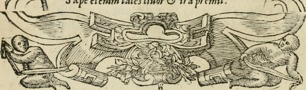 An illustration from Petri Costalii Pegma : cum narrationibus philosophicis, 1555, leaf 159