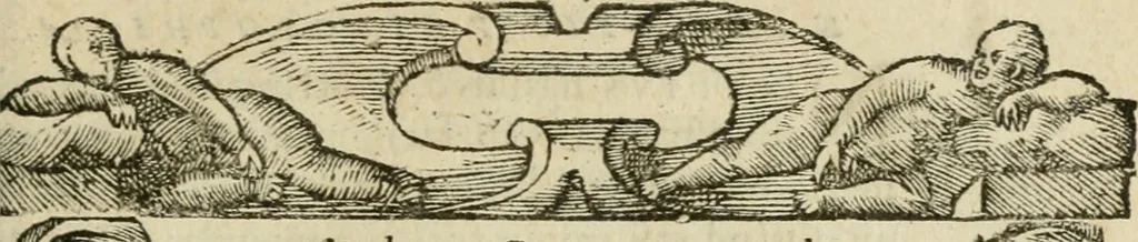 An illustration from Petri Costalii Pegma : cum narrationibus philosophicis, 1555, leaf 16
