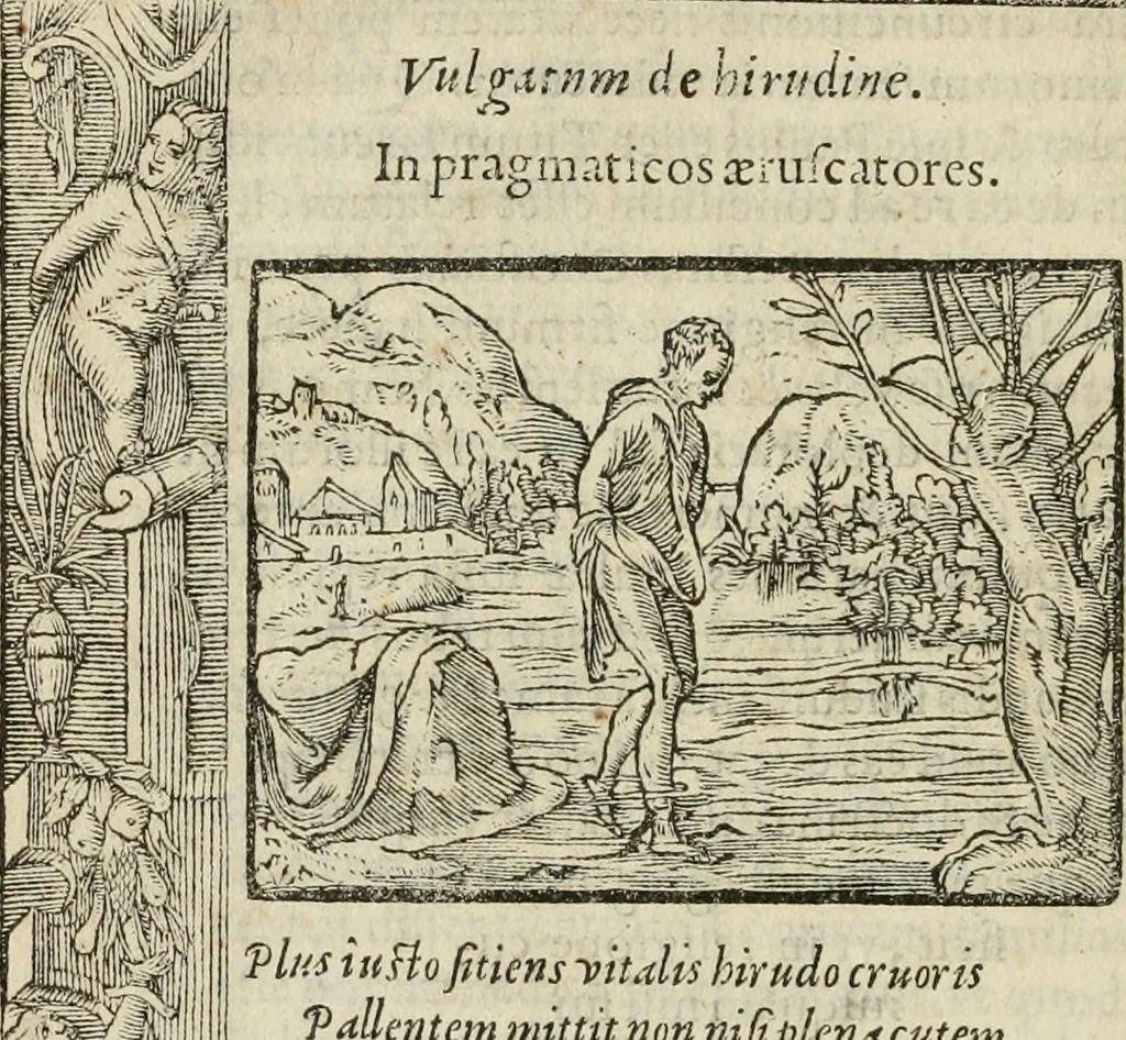 An illustration from Petri Costalii Pegma : cum narrationibus philosophicis, 1555, leaf 167