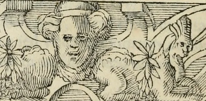 An illustration from Petri Costalii Pegma : cum narrationibus philosophicis, 1555, leaf 167
