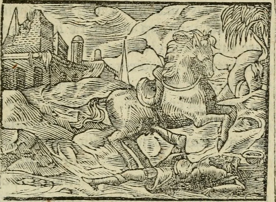 An illustration from Petri Costalii Pegma : cum narrationibus philosophicis, 1555, leaf 178