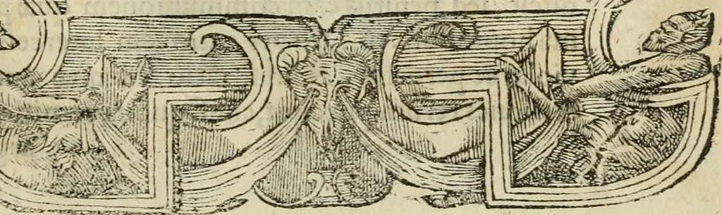 An illustration from Petri Costalii Pegma : cum narrationibus philosophicis, 1555, leaf 178