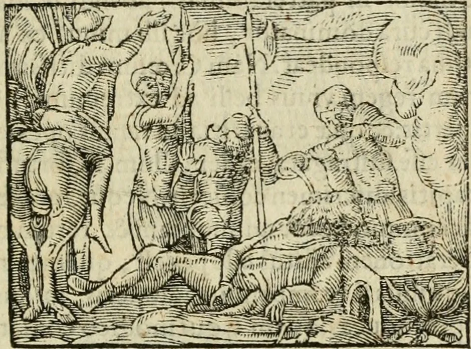An illustration from Petri Costalii Pegma : cum narrationibus philosophicis, 1555, leaf 186