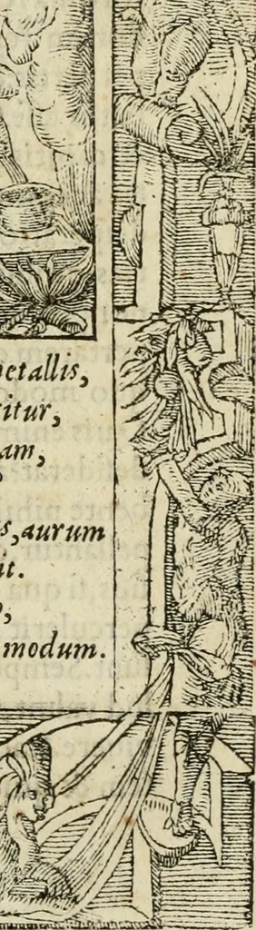 An illustration from Petri Costalii Pegma : cum narrationibus philosophicis, 1555, leaf 186