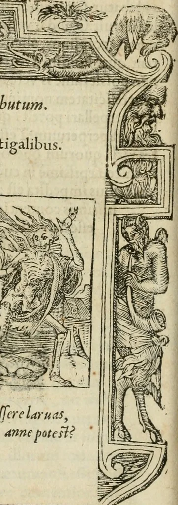 An illustration from Petri Costalii Pegma : cum narrationibus philosophicis, 1555, leaf 189