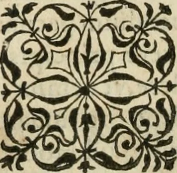 An illustration from Petri Costalii Pegma : cum narrationibus philosophicis, 1555, leaf 191