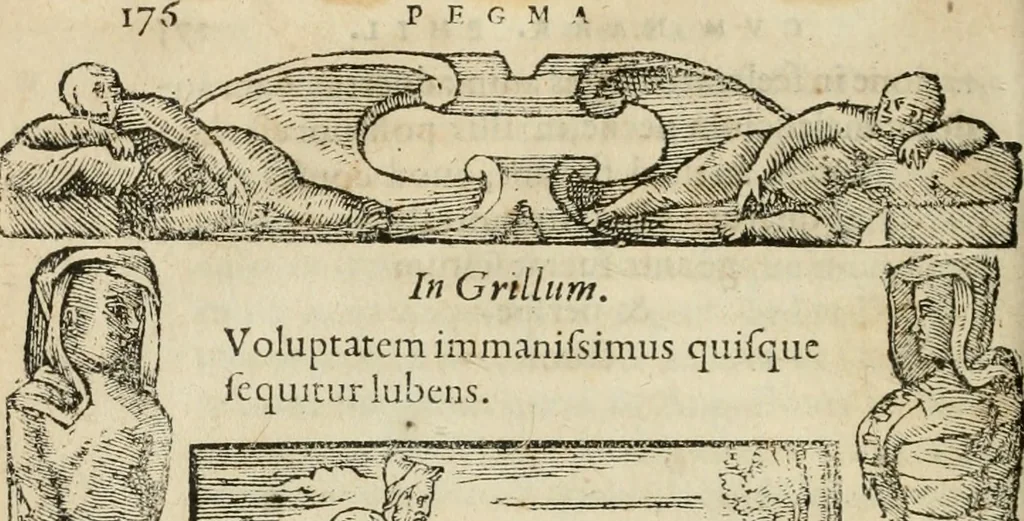 An illustration from Petri Costalii Pegma : cum narrationibus philosophicis, 1555, leaf 197