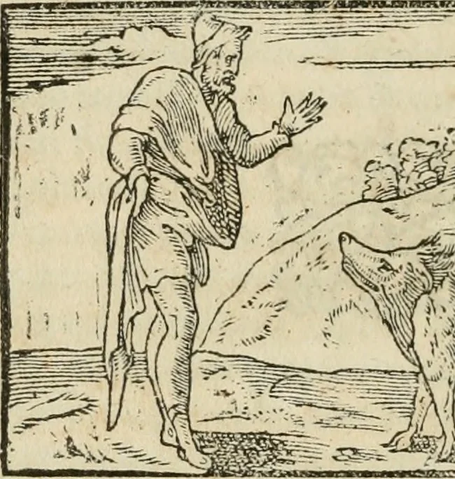 An illustration from Petri Costalii Pegma : cum narrationibus philosophicis, 1555, leaf 197