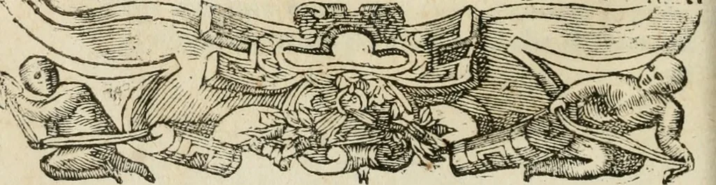 An illustration from Petri Costalii Pegma : cum narrationibus philosophicis, 1555, leaf 197