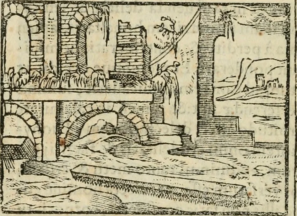 An illustration from Petri Costalii Pegma : cum narrationibus philosophicis, 1555, leaf 199
