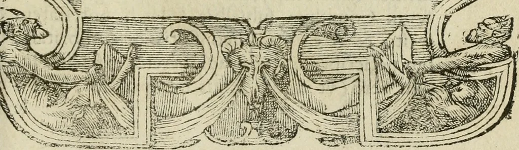 An illustration from Petri Costalii Pegma : cum narrationibus philosophicis, 1555, leaf 20