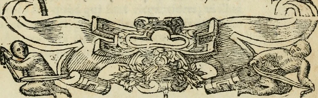 An illustration from Petri Costalii Pegma : cum narrationibus philosophicis, 1555, leaf 204