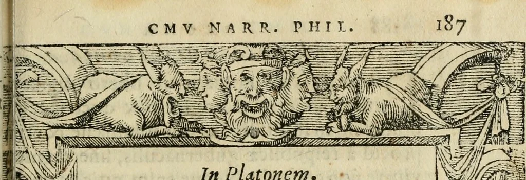 An illustration from Petri Costalii Pegma : cum narrationibus philosophicis, 1555, leaf 208