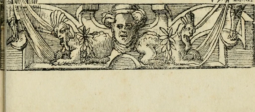 An illustration from Petri Costalii Pegma : cum narrationibus philosophicis, 1555, leaf 208