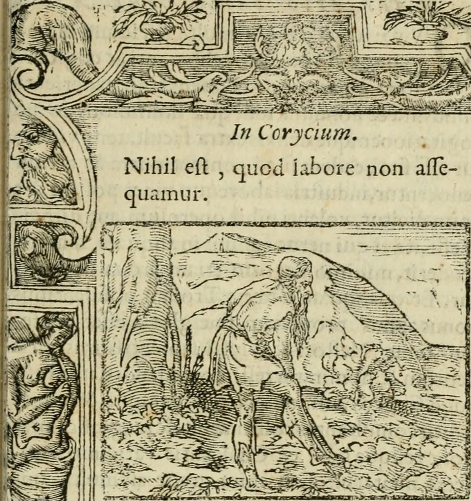 An illustration from Petri Costalii Pegma : cum narrationibus philosophicis, 1555, leaf 212