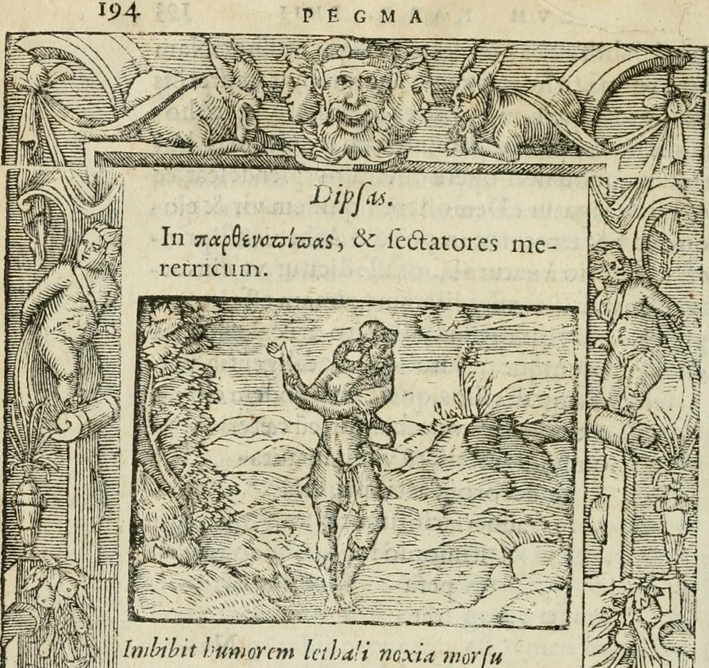 An illustration from Petri Costalii Pegma : cum narrationibus philosophicis, 1555, leaf 215