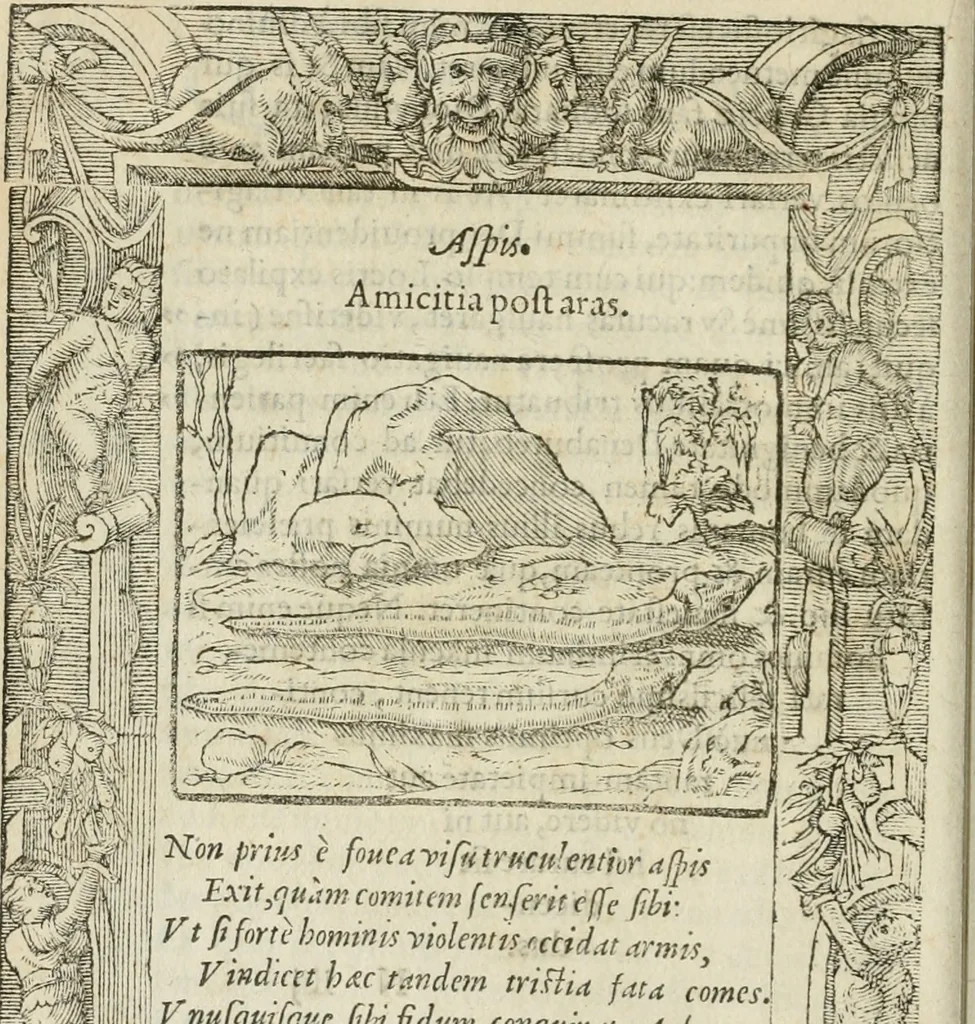 An illustration from Petri Costalii Pegma : cum narrationibus philosophicis, 1555, leaf 221