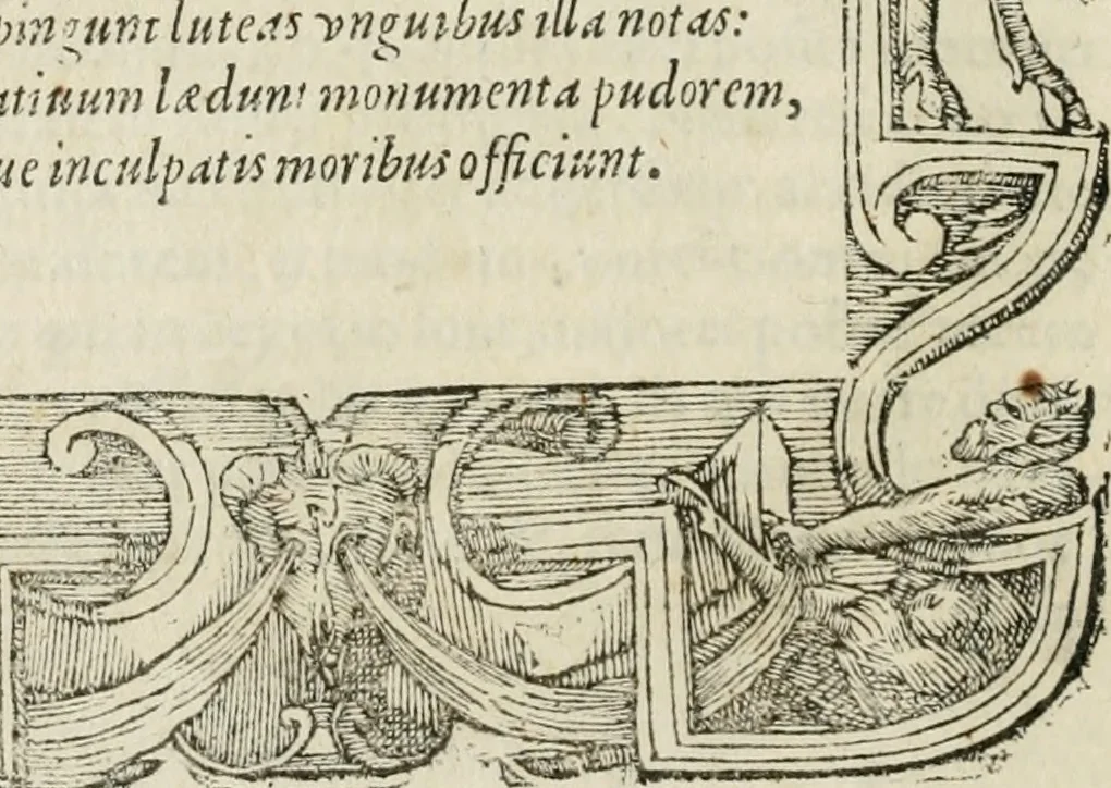 An illustration from Petri Costalii Pegma : cum narrationibus philosophicis, 1555, leaf 227