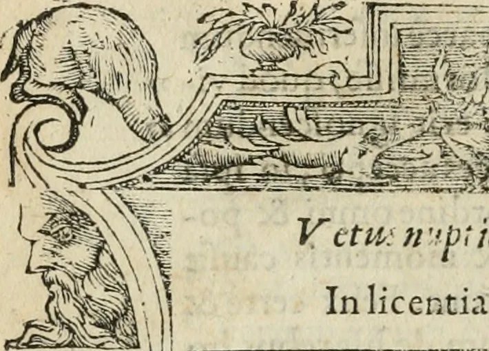 An illustration from Petri Costalii Pegma : cum narrationibus philosophicis, 1555, leaf 233