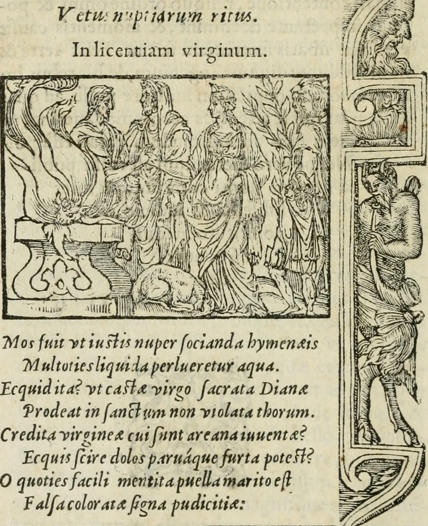 An illustration from Petri Costalii Pegma : cum narrationibus philosophicis, 1555, leaf 233