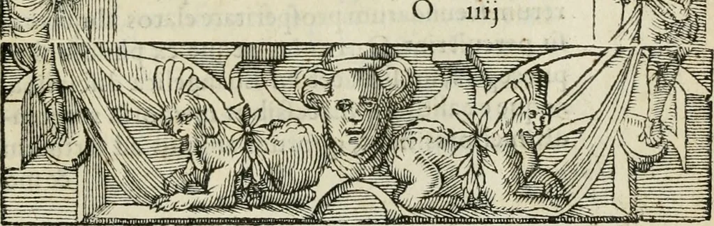 An illustration from Petri Costalii Pegma : cum narrationibus philosophicis, 1555, leaf 236