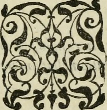 An illustration from Petri Costalii Pegma : cum narrationibus philosophicis, 1555, leaf 24