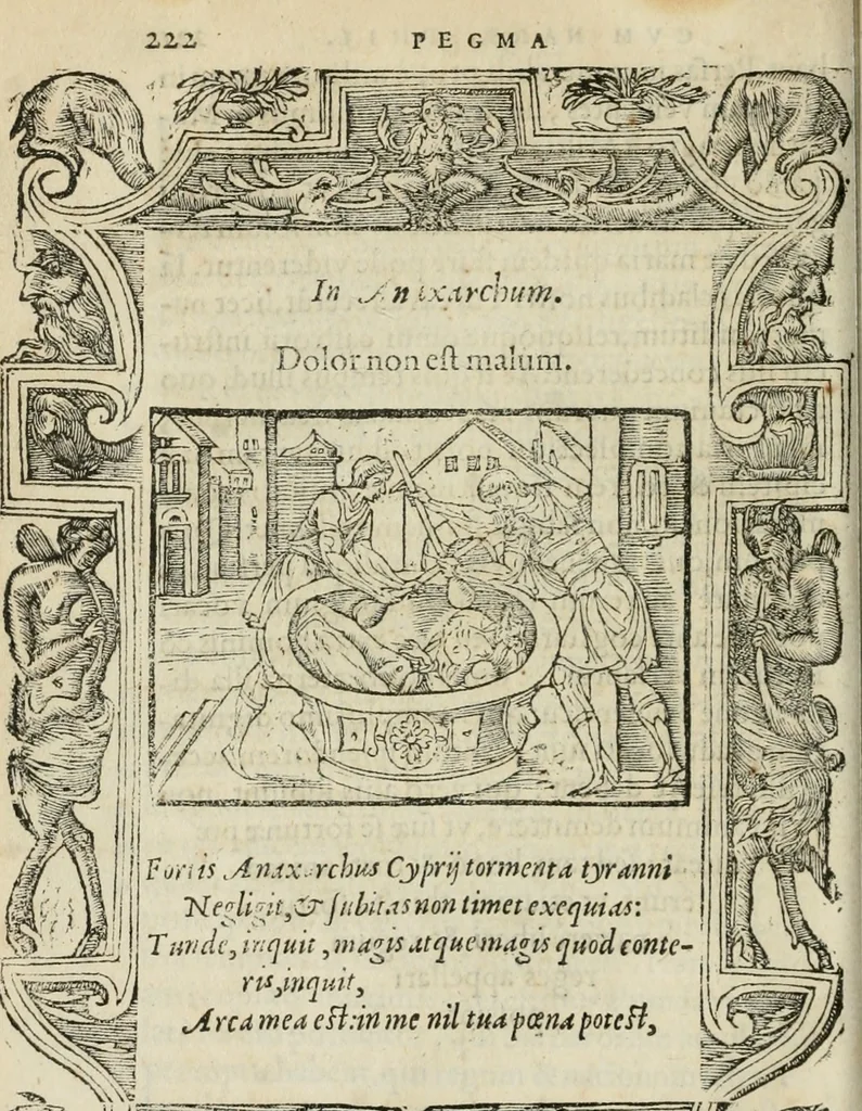 An illustration from Petri Costalii Pegma : cum narrationibus philosophicis, 1555, leaf 243