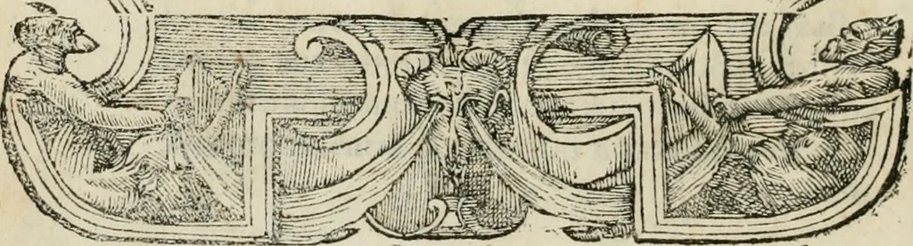 An illustration from Petri Costalii Pegma : cum narrationibus philosophicis, 1555, leaf 243